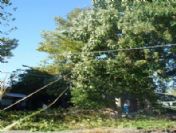 Kavak Ağacından Düşerek Öldü