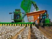 Konya ovası'nda son 50 yılın en bereketli hasadı