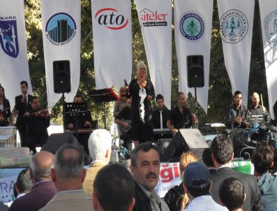 SAFIYE SOYMAN - `siteler`de İndirim Şenliği`