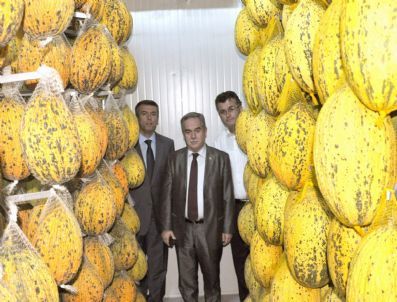 Ak Partili Berber, Kırkağaç`ta Kavun Deposunu İnceledi