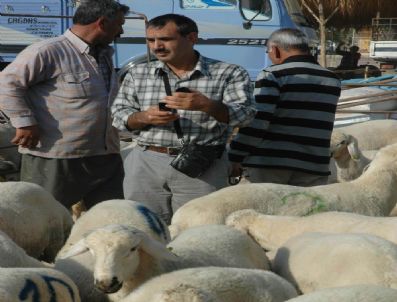 Kurbanlıklar Cep Yakacak
