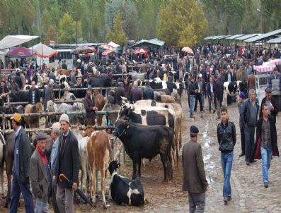 Deprem Mağduru Simavlı İçin Kurban Farklı