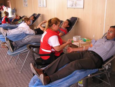 HAKAN YILMAZ - Malatya`da Toplanan Kan, Malatya`ya Yetmiyor