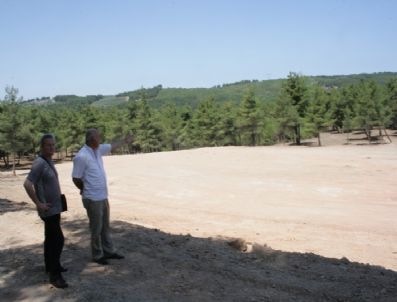 Gümçed`ten Ağaç Katliamına Tepki