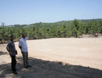 Gümçed`ten Ağaç Katliamına Tepki