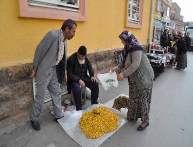 Alıç ve Kuşburnu 80’lik Dedenin Geçim Kaynağı