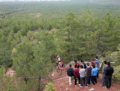 İstanbul'a iki kent ormanı kurulacak