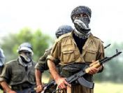 PKK'yı tek başına bitiremeyiz
