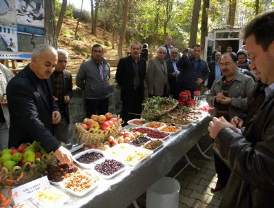 CUMA KARADEMIR - Hafta Sonu Zile Brunch Günleri Başladı
