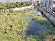 14 Yıldır Kaderine Terk Edildi