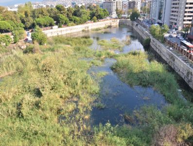 14 Yıldır Kaderine Terk Edildi