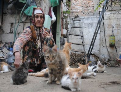Esma Nine Evlat Özlemini Kedilerle Gideriyor