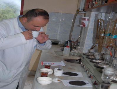 RIZE TICARET BORSASı - Çay Tadımcıları Görev Başında