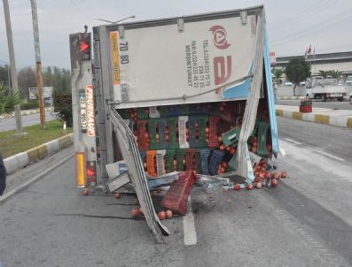 İSABEYLI - Nar Yüklü Tur Devrildi; 1 Yaralı