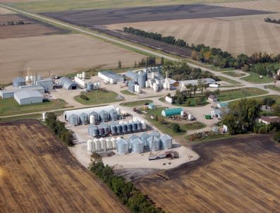 Arbel Şimdi De Güney Afrika`da