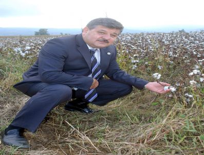 Aydınlı Pamukçu Borçunun Ertelenmesini İstiyor