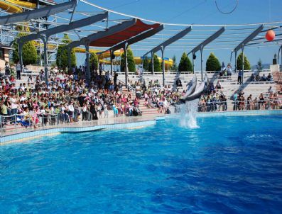 Kuşadalı Öğrencilerin Yunus Şovu Keyfi