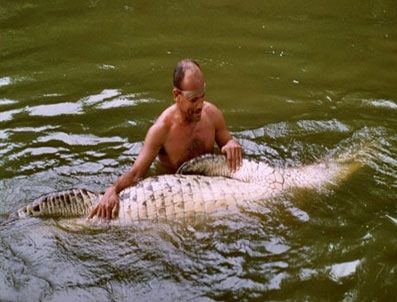 KOSTA RIKA - Timsah için cenaze merasimi düzenlendi