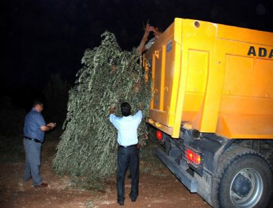 Zeytin Gen Merkezi`ne Gece Baskını