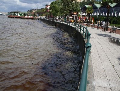 İNSANOĞLU - Zonguldak Limanını Atık Yağ Kapladı