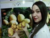 Adana`da Çifte Fuar Açılışı