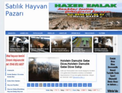 Kurbanlıklar internete düştü!