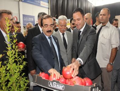 Şentürk: Büyük Firmalar Tarıma Yöneldi