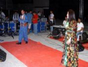 Adana`da, Pkk Gösterisine Dönüşen Konser İlgi Görmedi