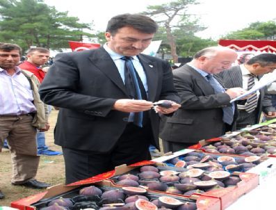 Bu Festivalde İncirler Yarıştı