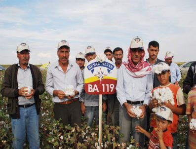 Ceylanpınar`da Tarla Günü