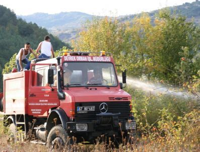 Devrek`te Örtü Yangını