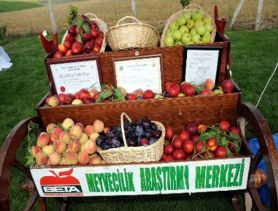 `meyve Endüstrisi` İçin Geleceğin Meyveleri Tasarlanıyor