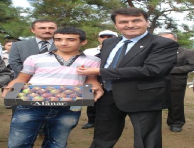 Siyah İncir Festivali İle `bursa Karası` Tanıtıldı