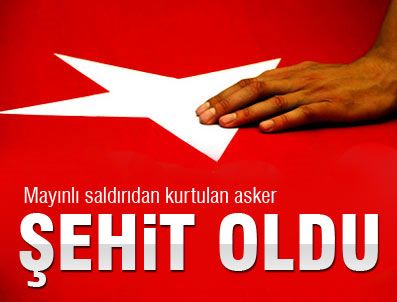 NECIP ÇAKMAK - Bitlis'teki yaralı polis şehit oldu