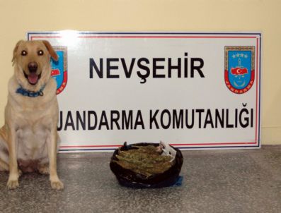 Jandarma 2 Ayrı Evde 785 Gram Esrar ve 120 Gram Kenevir Tohumu Ele Geçirdi