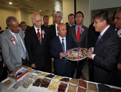 DÜNYA GıDA GÜNÜ - Ankara`da Malatya Kayısısı Tanıtıldı