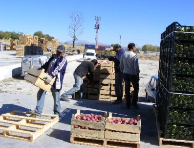 BENIN - Elma Üreticisi Rekolteden ve Fiyattan Memnun