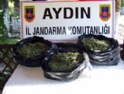 Nazilli’de Uyuşturucu Operasyonu