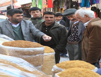 ABDULLAH ÇELIK - Sigara Zammı Tiryakiyi Tütüne Yöneltti