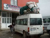 Kurbanlık Koyuna Bayram Öncesi Eziyet