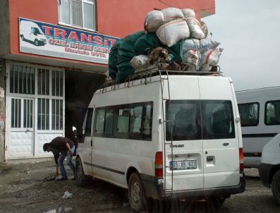 Kurbanlık Koyuna Bayram Öncesi Eziyet