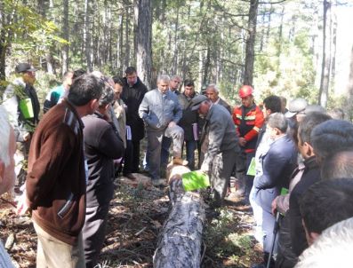 KARıNCALı - Ormanda Üretim Tatbikatı Yapıldı