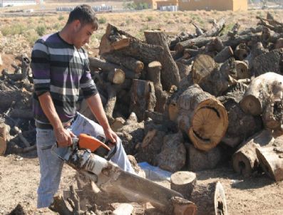 Siirt`te Odun ve Kömür Fiyatları Yüzde 50 Yükseldi