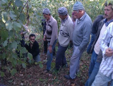 Yığılca İlçe Tarım Müdürlüğü Ekiplerinde 1 Günde 5 Eğitim Çalışması
