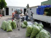 Antalya Büyükşehir Belediyesinden Depremzedeye Yardım Eli