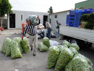 ANTALYA MERKEZ - Antalya’dan Van’a 12 Ton Yaş Sebze Meyve Gönderildi