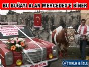 'Paşa'yı alana Mercedes hediye