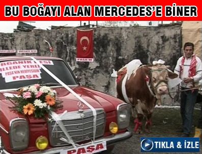 'Paşa'yı alana Mercedes hediye