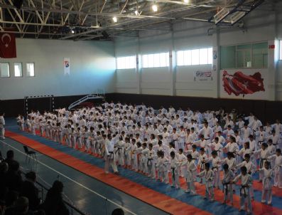 AHMET ÇELEBI - Karateciler Kuşak Sınavında Terledi
