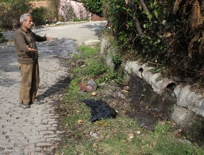 Mahalle Sakinlerinden 5 Yıldır Onarılmayan Kanalizasyon Tepkisi